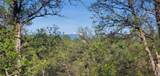 18505 Brumby Way - Photo 13