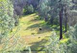 18505 Brumby Way - Photo 3