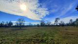 18505 Brumby Way - Photo 4