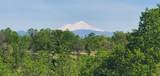 18505 Brumby Way - Photo 7