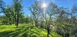 18505 Brumby Way - Photo 9