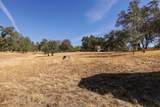 15905 Delano Drive - Photo 40