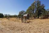 15905 Delano Drive - Photo 44