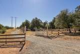 15905 Delano Drive - Photo 46