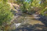 28832 Whitmore Road - Photo 79