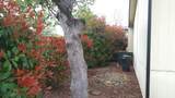 4633 Underwood Drive - Photo 30