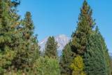 233 Squaw Valley Road - Photo 47