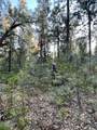  Waterleaf Lane - Photo 45
