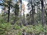  Waterleaf Lane - Photo 46