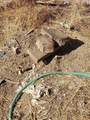 177 Fiddlers Road - Photo 14
