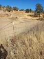 177 Fiddlers Road - Photo 16