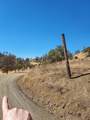 177 Fiddlers Road - Photo 4