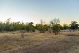 11958 Buena Vista Ct Avenue - Photo 4