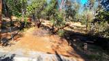 7.29 Acres Central Avenue - Photo 3