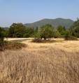 4.75 acres Frisby Rd Road - Photo 10