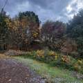 4.75 acres Frisby Rd Road - Photo 17