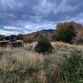 4.75 acres Frisby Rd Road - Photo 21