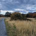 4.75 acres Frisby Rd Road - Photo 25