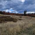 4.75 acres Frisby Rd Road - Photo 27