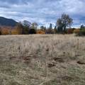 4.75 acres Frisby Rd Road - Photo 28