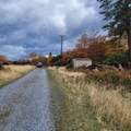 4.75 acres Frisby Rd Road - Photo 29