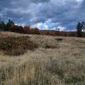 4.75 acres Frisby Rd Road - Photo 30