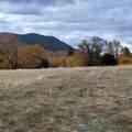 4.75 acres Frisby Rd Road - Photo 32