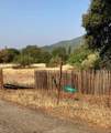 4.75 acres Frisby Rd Road - Photo 4
