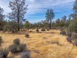 28955 Ca-44 - Photo 50