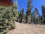 0000 Logging Road - Photo 13