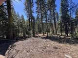 0000 Logging Road - Photo 2