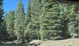 0000 Logging Road - Photo 20