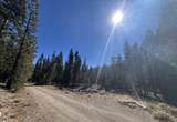 0000 Logging Road - Photo 21