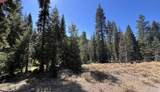 0000 Logging Road - Photo 23
