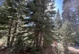 0000 Logging Road - Photo 24