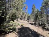 0000 Logging Road - Photo 26