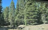 0000 Logging Road - Photo 29