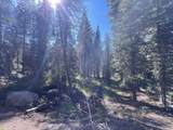 0000 Logging Road - Photo 3