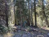 0000 Logging Road - Photo 5