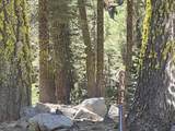 0000 Logging Road - Photo 6