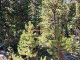 0000 Logging Road - Photo 7
