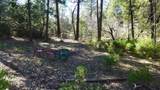 0000 Fern Road - Photo 15