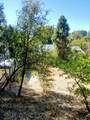 1756 Filaree Drive - Photo 4