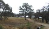 8971 Old Oregon Trail - Photo 2