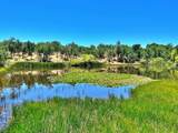 11050 Campers Court - Photo 7