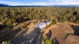 12065 Lewis Lane - Photo 35