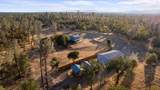 12065 Lewis Lane - Photo 36