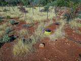  Hilda 093-130-032-000 Road - Photo 28