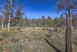  Wilson Hill Road - Photo 36