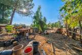 20818 Fig Tree Lane - Photo 25